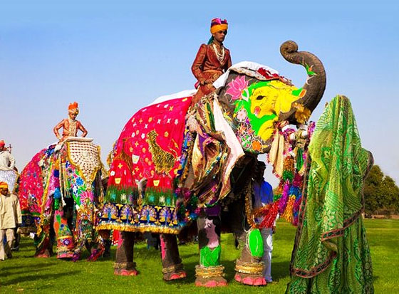 Elephant Festival