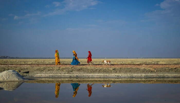 sambhar salt lake